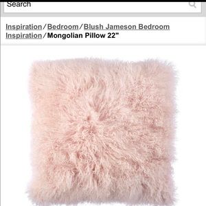 2 Z gallerie Mongolian 22 inch pillows